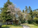 LINE_ALBUM_2025^4^12  _250414_2.jpg
