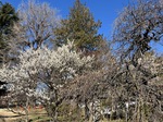 S__54214698.jpg